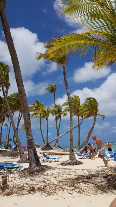 Aussicht am Strand  Hotel Riu Palace Bavaro