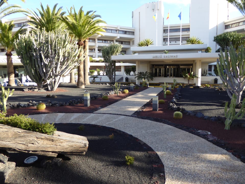 Garten Paradisus by Meliá Salinas Lanzarote