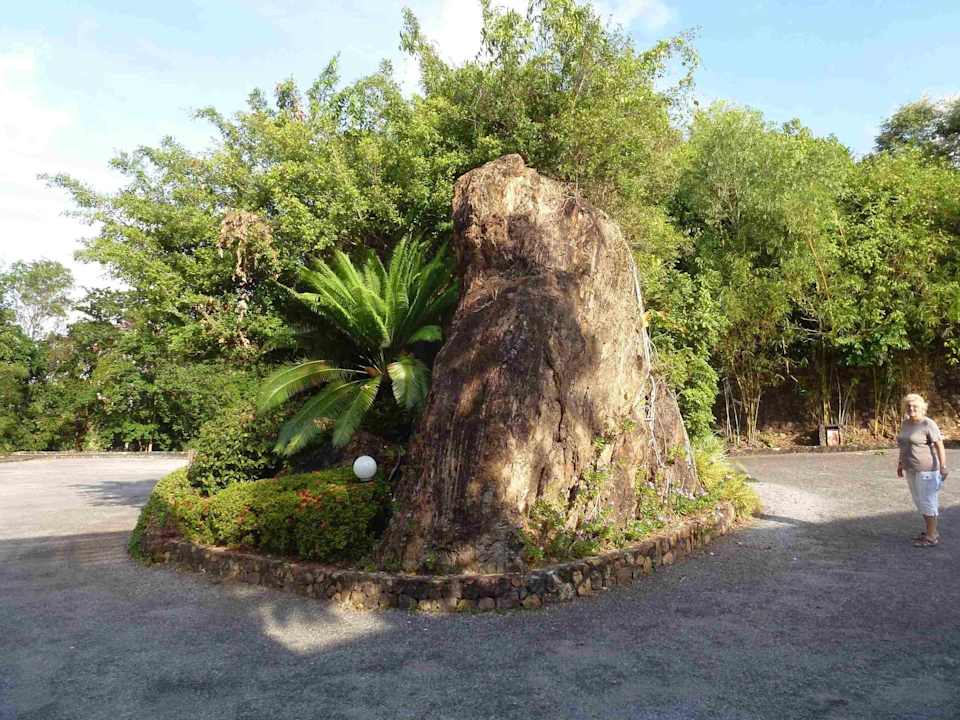 Hotel Hinsuay Namsai Resort Hotel Hinsuay Namsai Resort