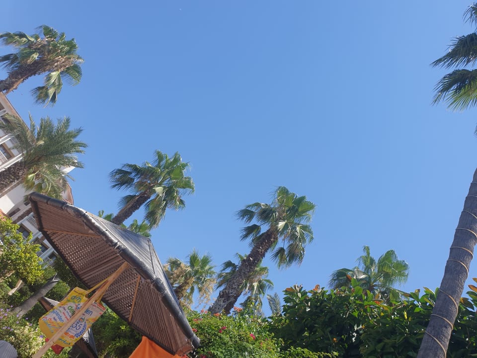 Gartenanlage Hotel Defne Garden