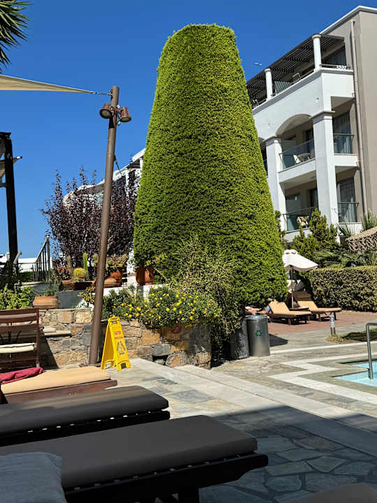 Gartenanlage Albatros Spa & Resort Hotel