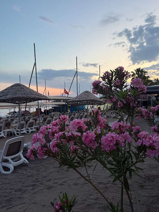 Strand Arycanda Kirman Premium