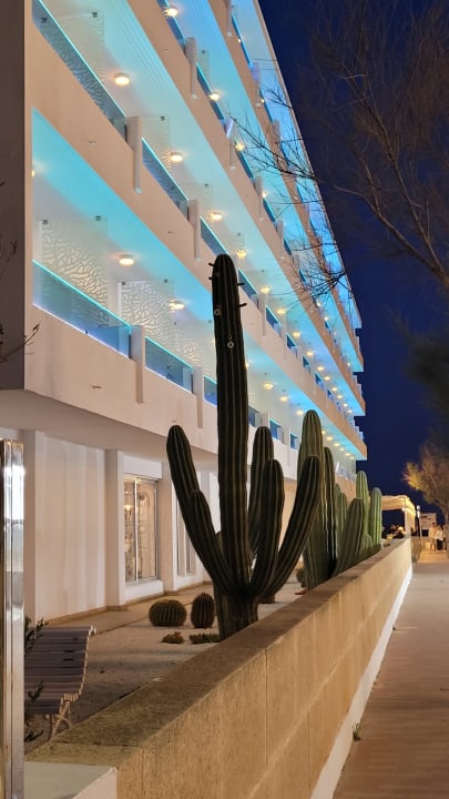 Außenansicht The Sea Hotel by Grupotel - Adults only