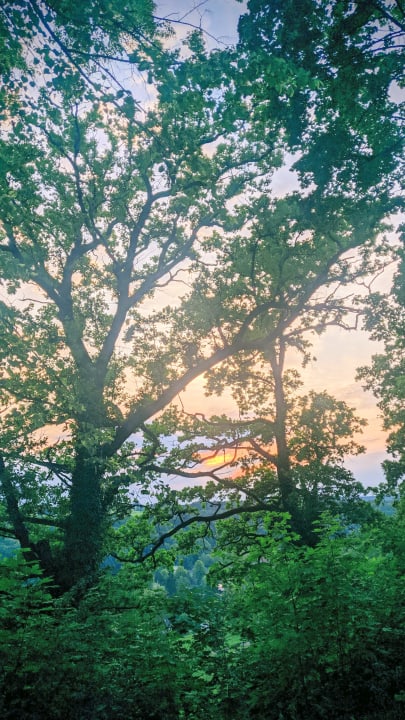 Ausblick JUFA Hotel Festung Rosenberg Kronach