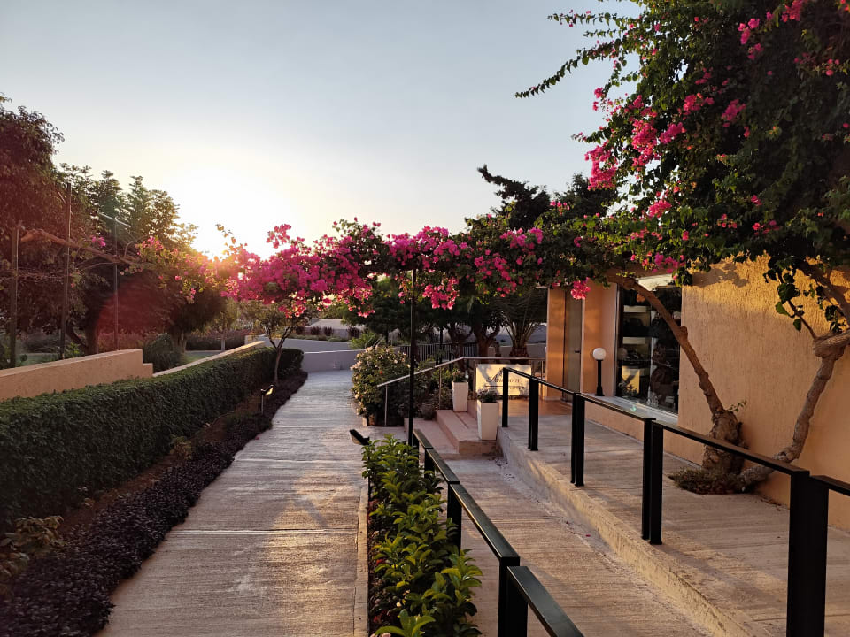 Gartenanlage Anissa Beach & Village