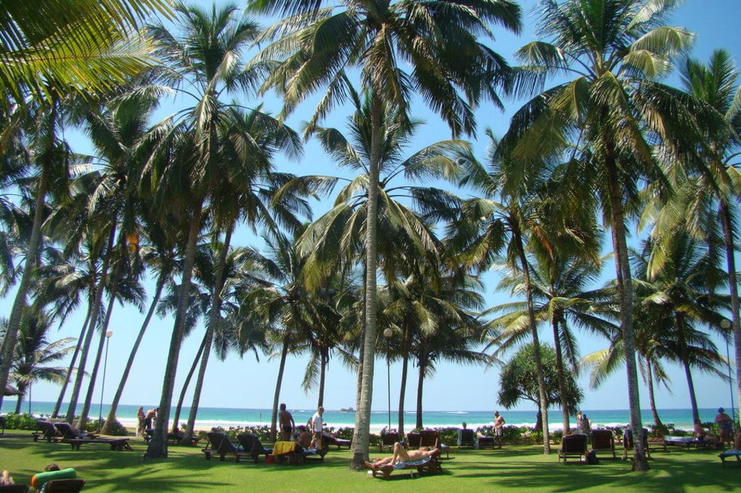 Widok na ocean Thaala Bentota