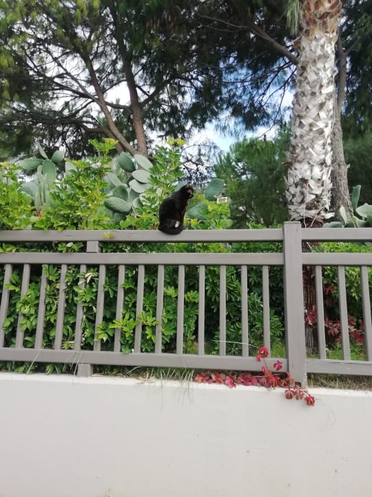 Außenansicht Seaden Quality Resort & Spa