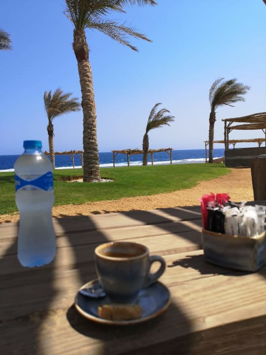 Gastro Steigenberger Resort Alaya Marsa Alam - Red Sea - Adults only