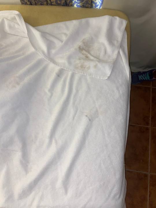 Zimmer Stella Garden Resort & Spa, Makadi Bay