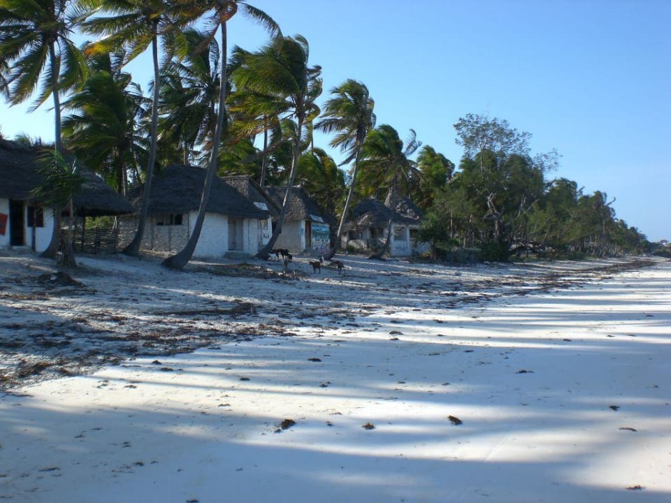 Souvenirshops am Strand Karafuu Beach Resort & Spa