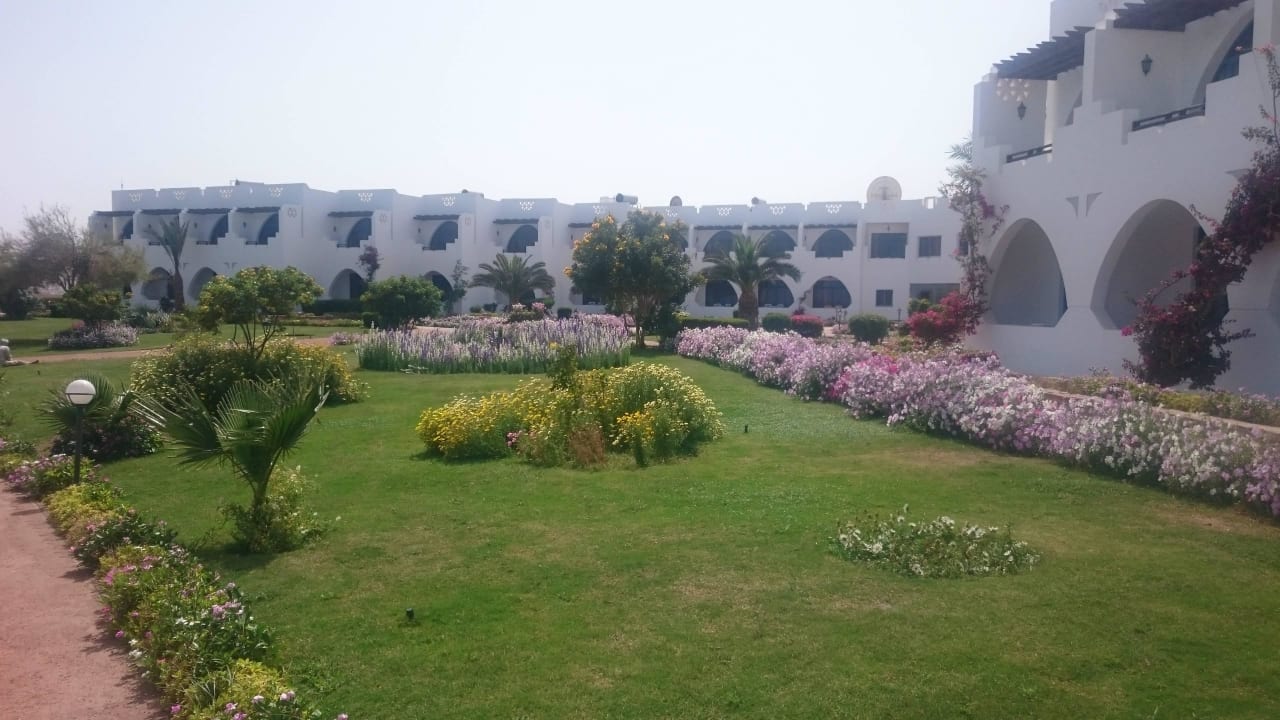 Zimmer und Gartenanlage Three Corners Equinox Beach Resort