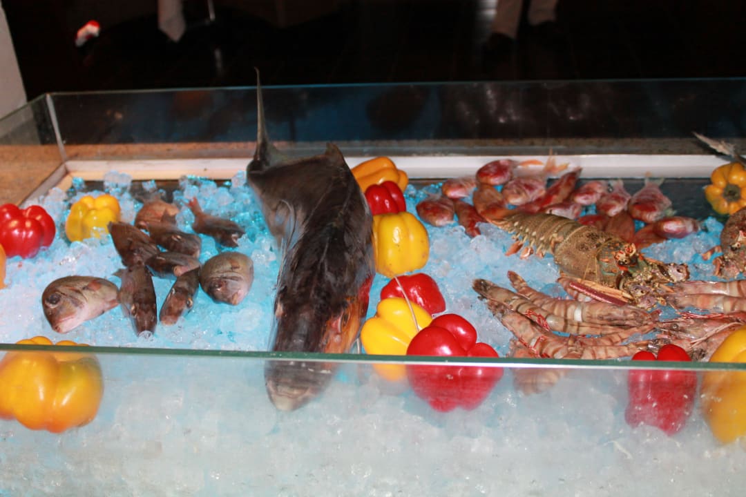 Seafood to choose  JAZ Aquamarine Resort