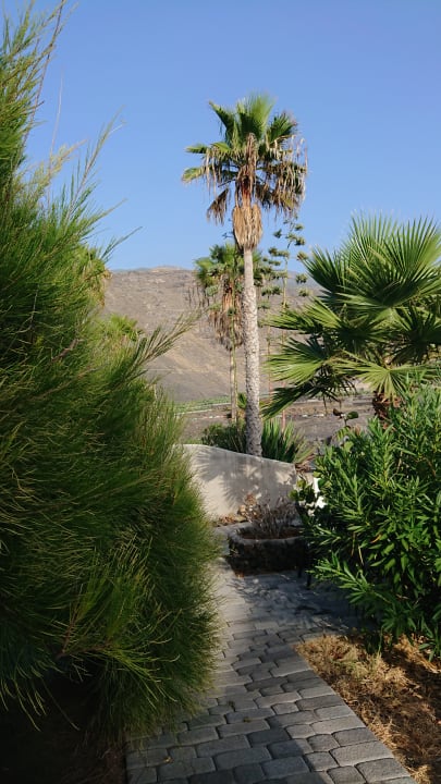 Ausblick Bungalows Charco Verde