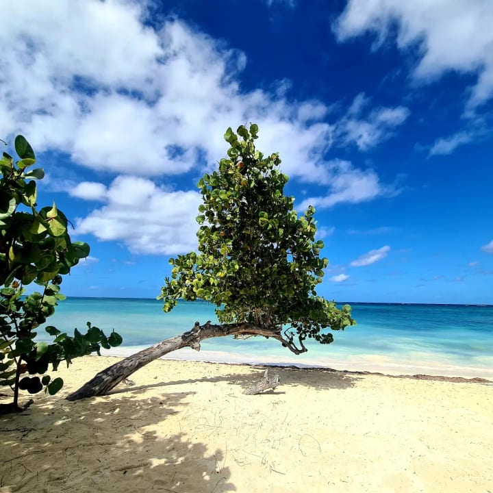 Strand Paradisus Rio de Oro Resort & Spa - Adults only