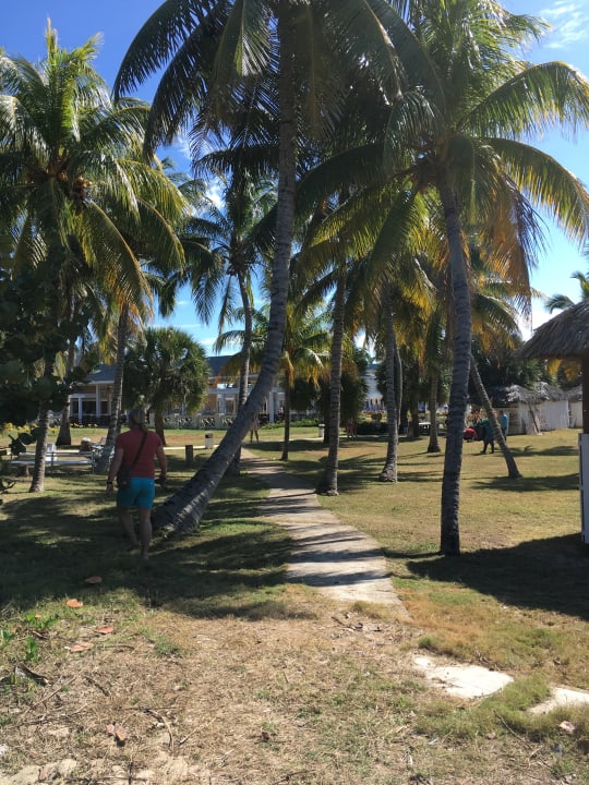 Gartenanlage Sol Varadero Beach