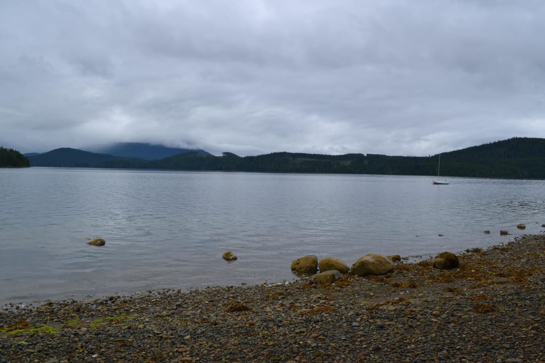 Meeresbucht Dolphin House Bed & Breakfast