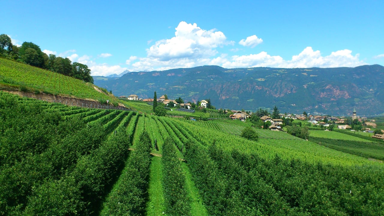 Blick aus dem Fenster Landgasthof Bad Turmbach
