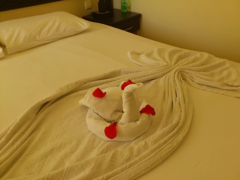 Mit Liebe zum Detail Hotel Orfeus Park