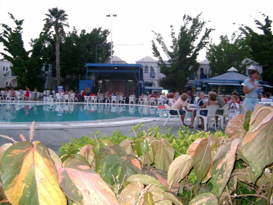 Pool 3 Hotel Bungalows Duna Flor