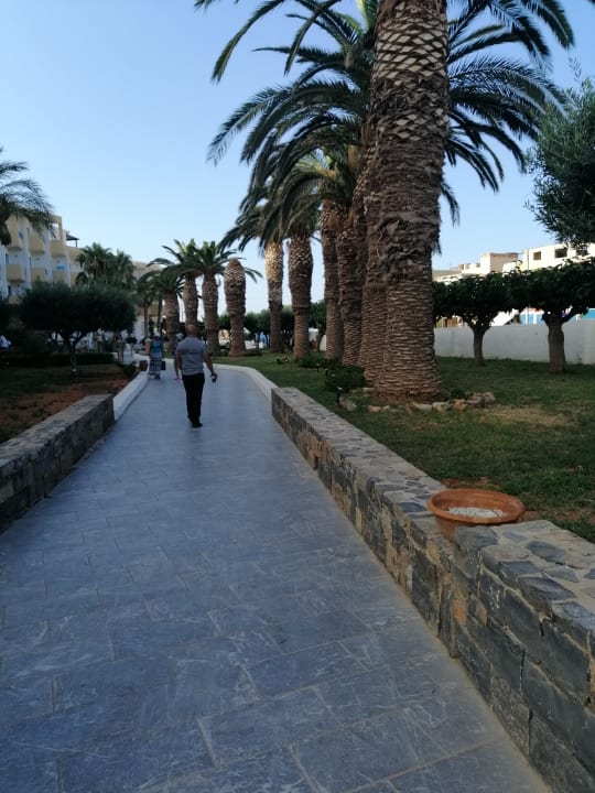 Außenansicht Hotel Aphrodite Beach Club