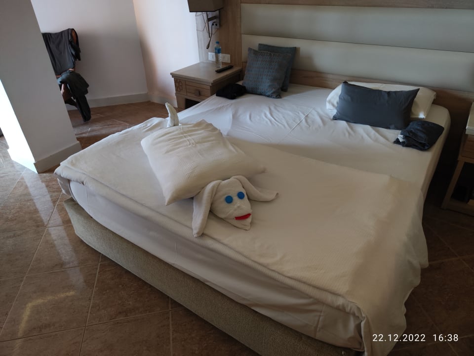 Zimmer Beach Albatros Resort