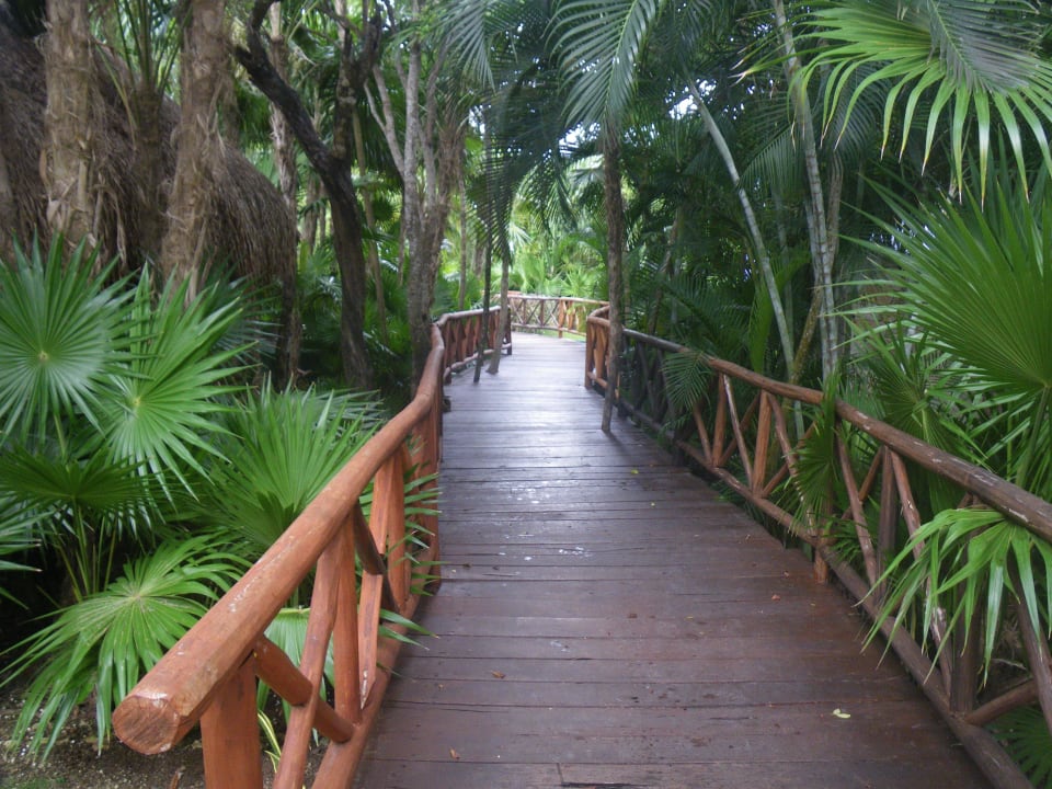 Weg vom Pool zum Strand Iberostar Selection Paraiso Lindo