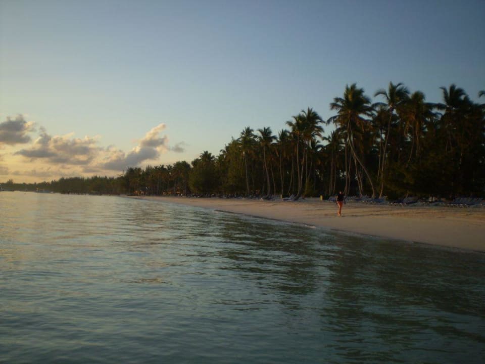 Sonnenaufgang am Traumstrand Villas Bavaro Resort & Spa