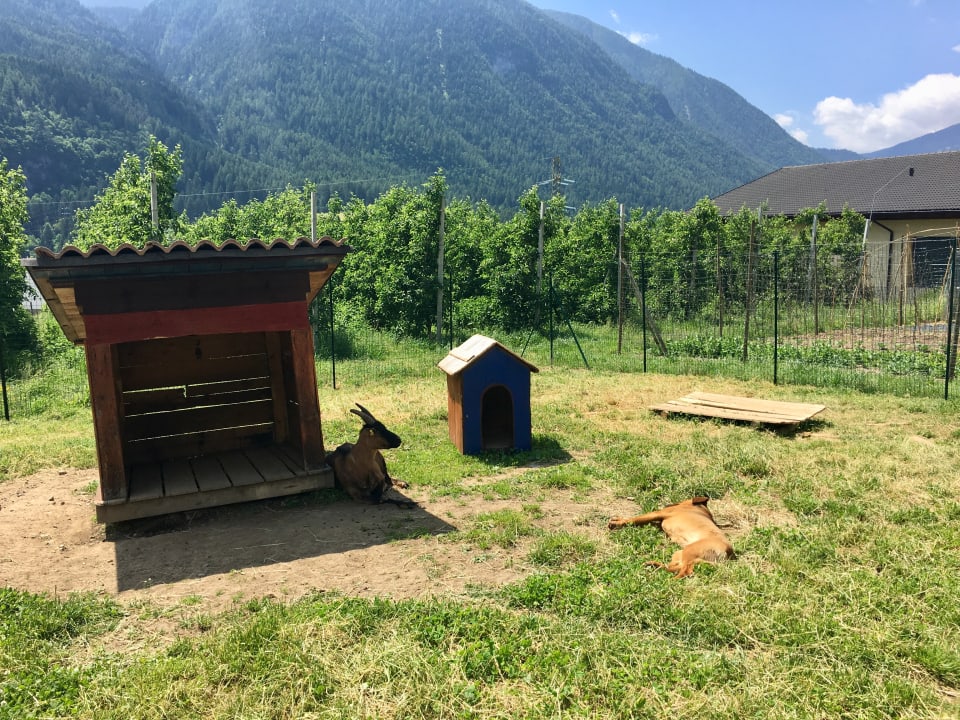 Gartenanlage Hotel Agritur Anselmi