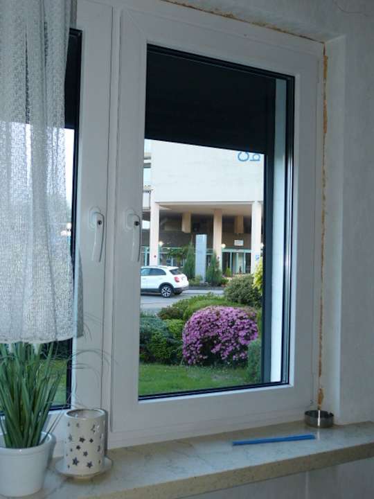 Ausblick Ferienwohnung Regina Müller