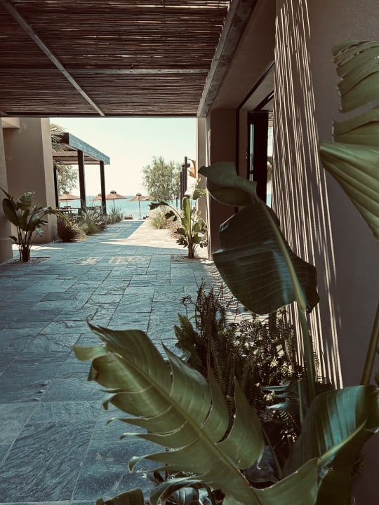 Außenansicht Casa Cook Samos