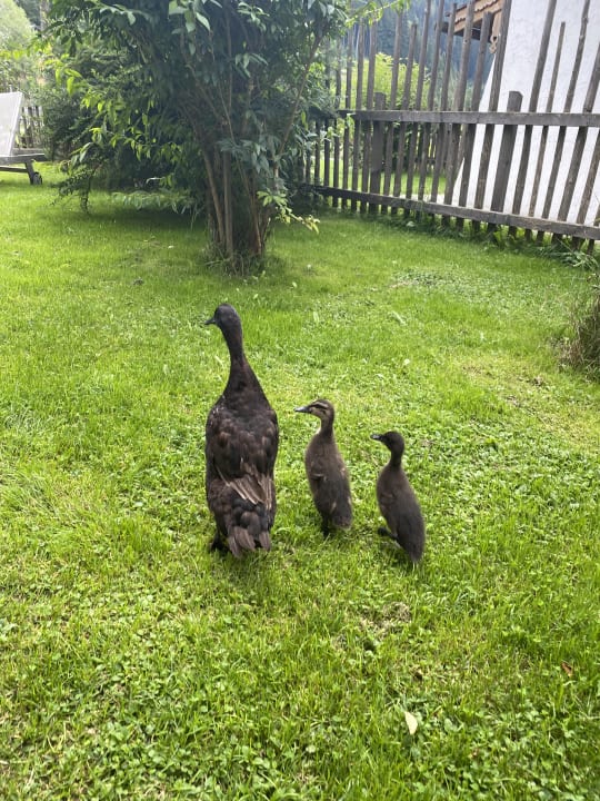 Sonstiges Feriendorf Holzleb'n