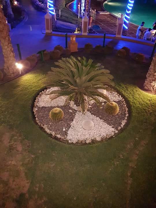 Gartenanlage Pickalbatros Palace Resort