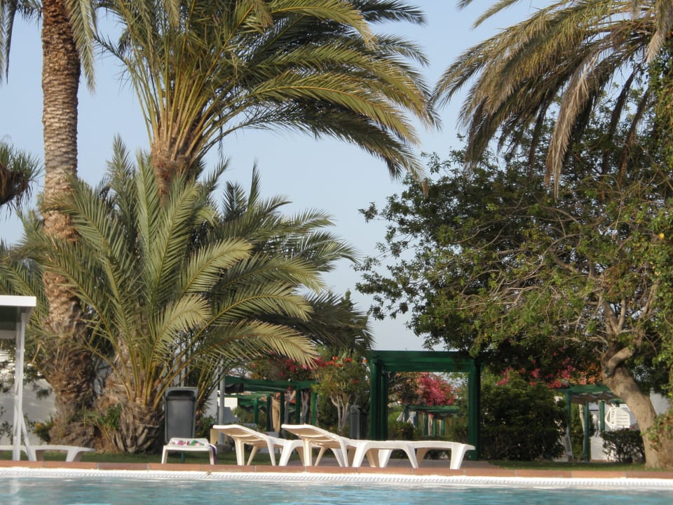 Garten vom Pool aus fotografiert Bungalows Cordial Sandy Golf