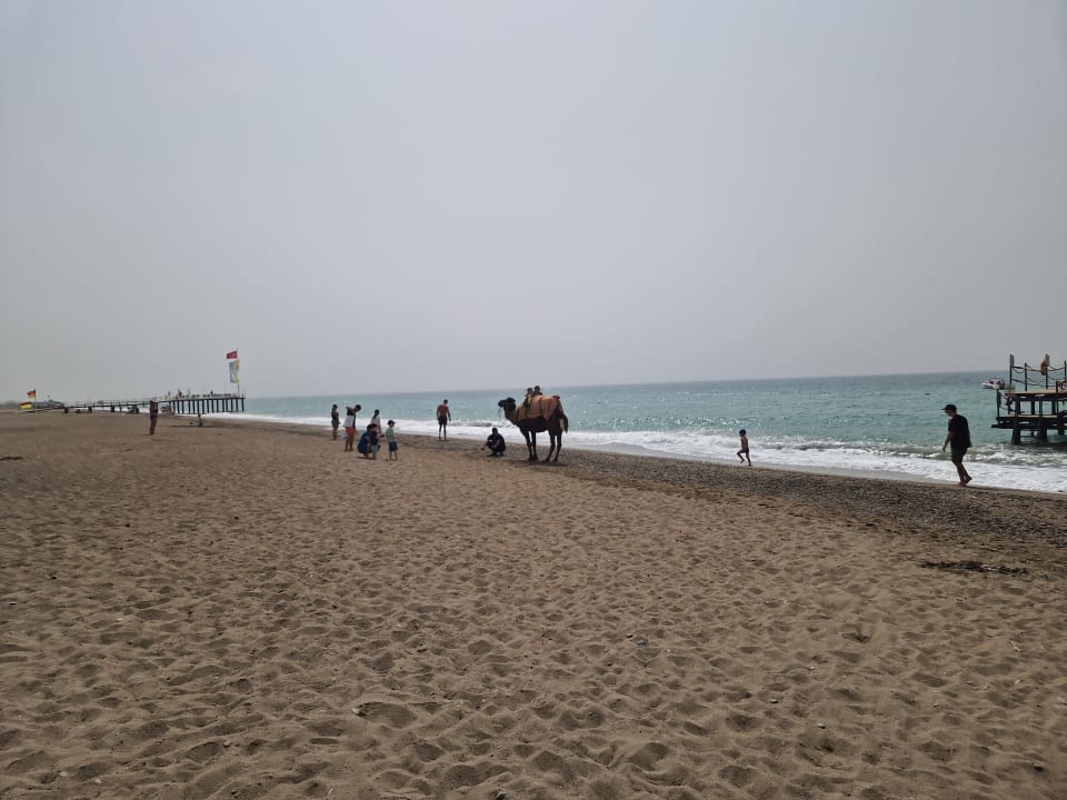 Strand Belek Beach Resort Hotel