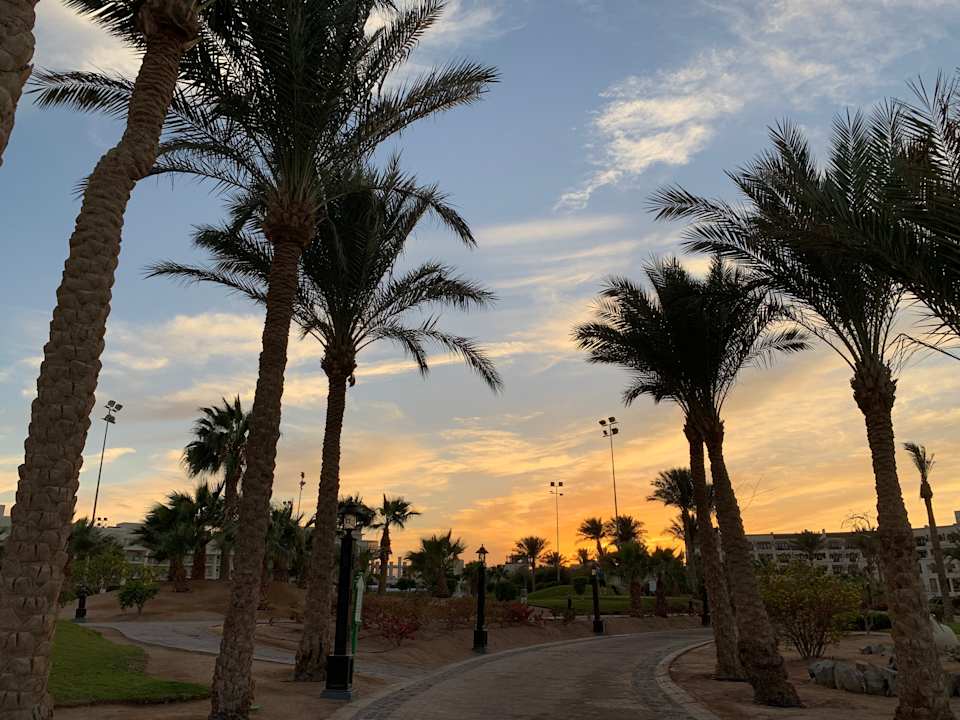 Gartenanlage Steigenberger Aqua Magic