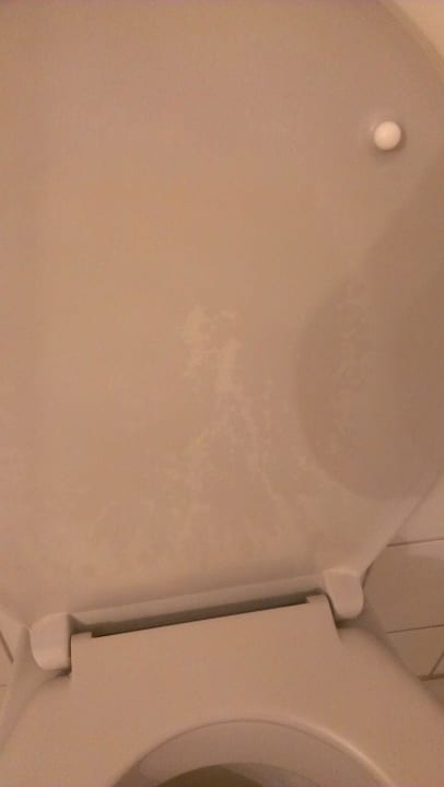 Toilettendeckel Kunstoff durch Urin angegriffen Edit Pension Rossau