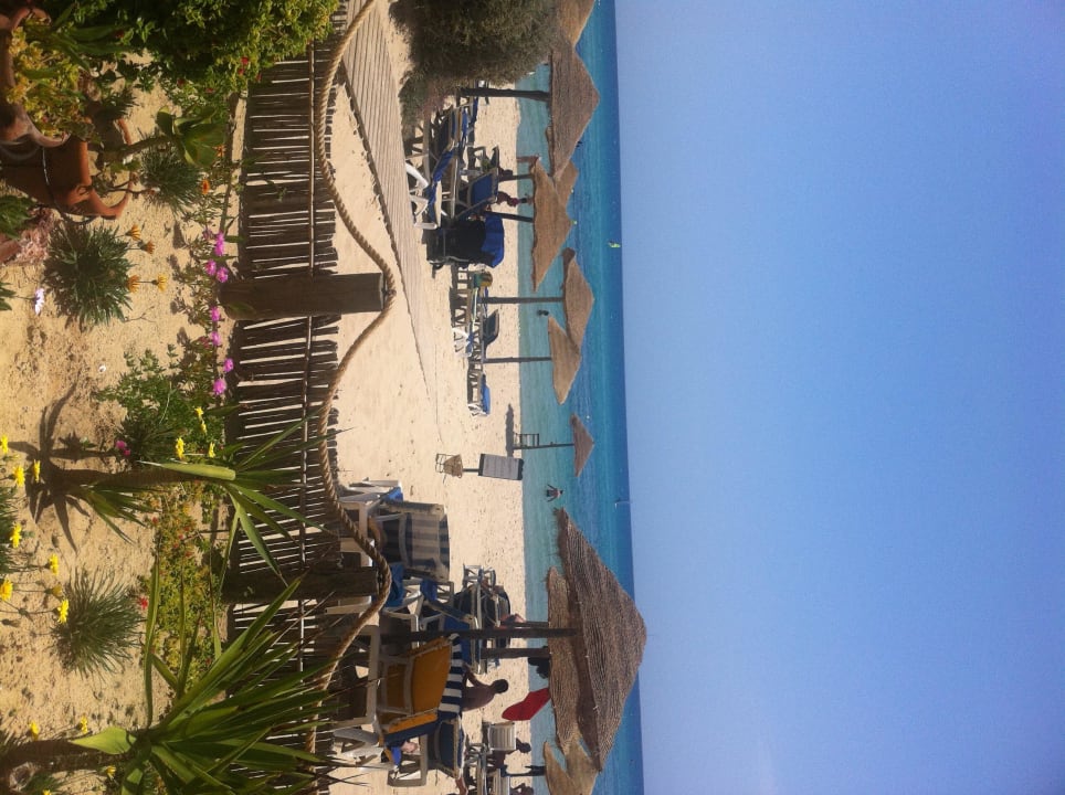 Vorgarten der Bar mit Meerblick TUI MAGIC LIFE Africana