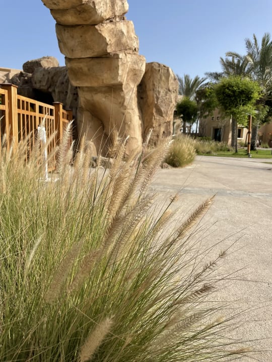 Gartenanlage Saadiyat Rotana Resort &  Villas