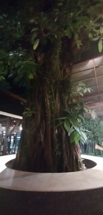 Gastro Khaolak Bhandari Resort & Spa