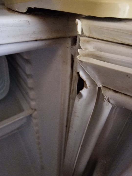 Zimmer Pickalbatros Citadel Resort