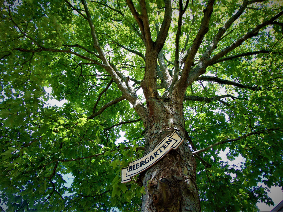 Außenansicht Hotel Molitor