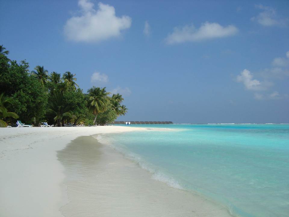 Strand bei den 200er Villen Meeru Maldives Resort Island