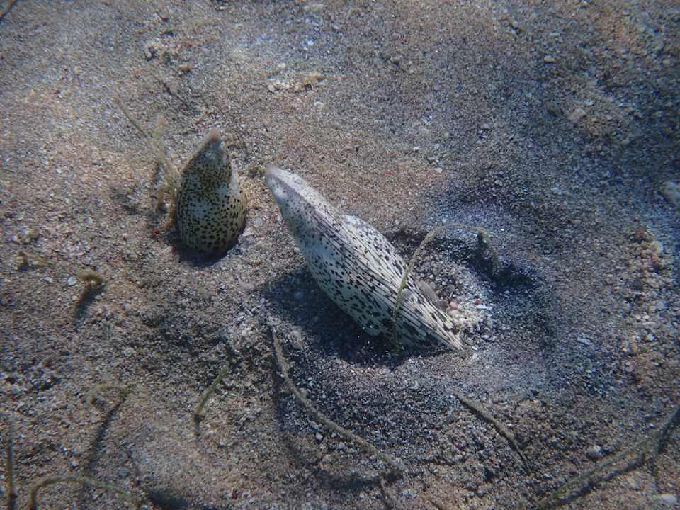 Sport & Freizeit Beach Safari Nubian Resort