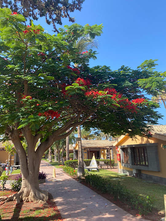 Zimmer Suites & Villas by Dunas