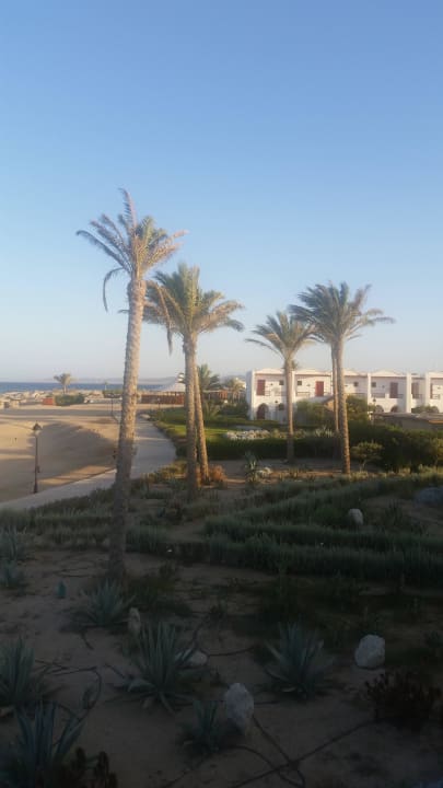 Supi schön  Hotel Gorgonia Beach Resort