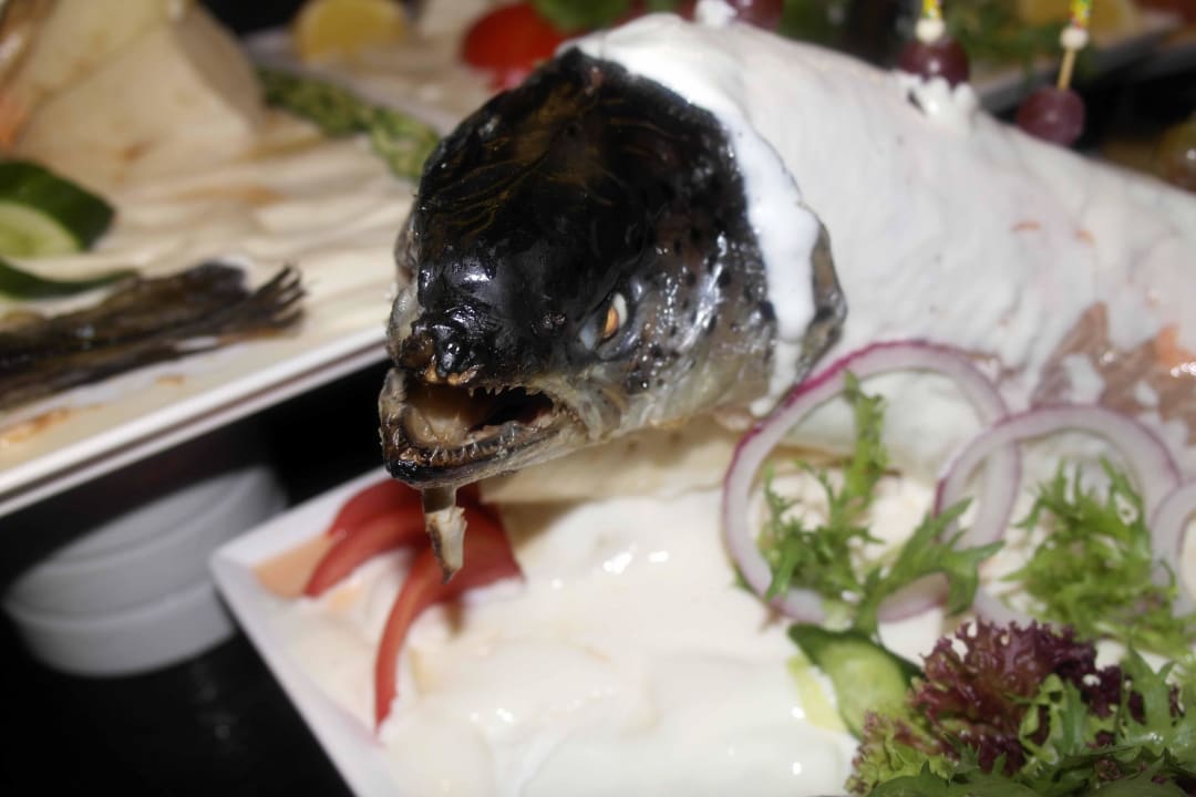 Türkischer Abend Sultan of Dreams Hotel & Spa