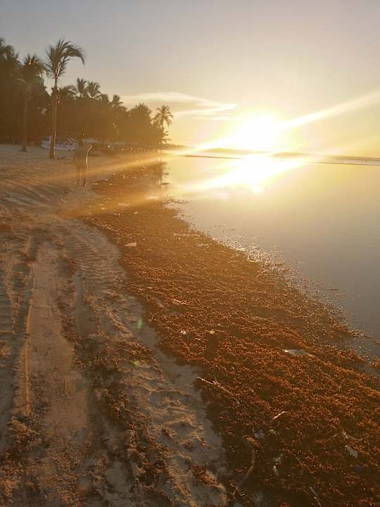 Strand whala!boca chica