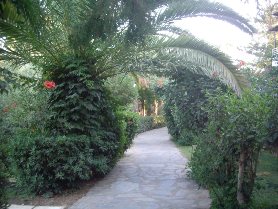 Weg in Richtung Strand Apollonia Beach Resort & Spa