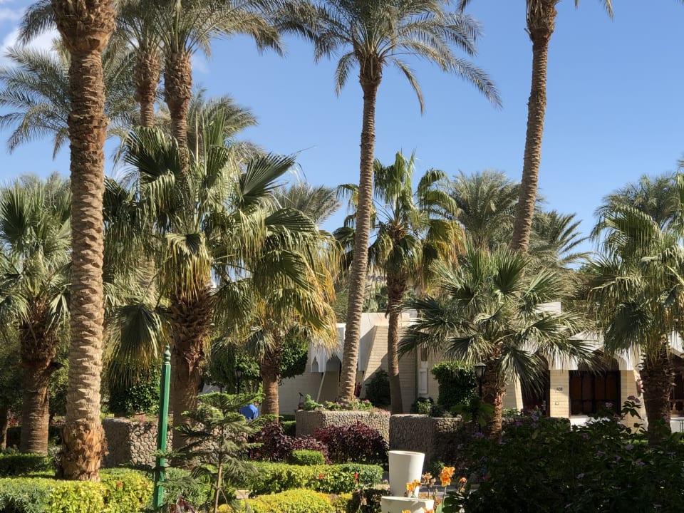 Gartenanlage Regina Resort and Aqua Park Hurghada