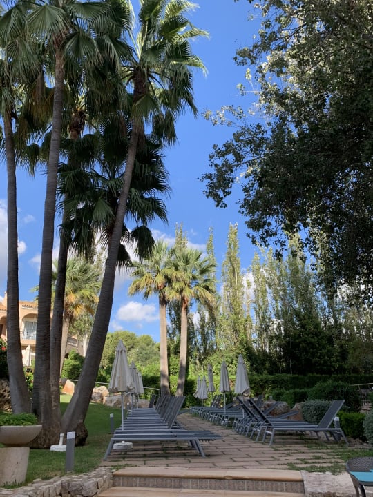 Gartenanlage allsun Hotel Lago Playa Park